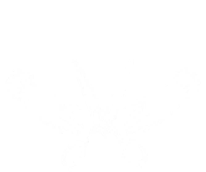 The Image Salon